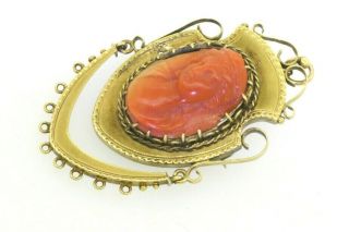 Antique 14k Yellow Gold Carved Red Coral Cameo Brooch