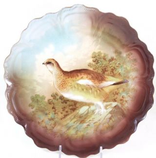 Antique Cabinet Display Plate Zs & Co Scherzer Bavaria Game Bird In Field Gold