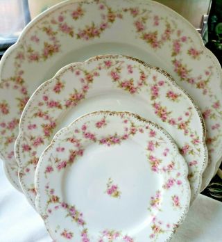 3 Antique M.  Z.  Austria With Dinner Lunch & Bread Butter Plates Bridal Rose Set