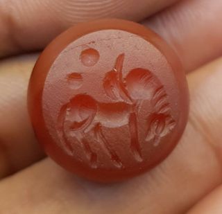 Ancient Dark Red Agate Stone Very Old Stamp Seal Beads Wind Horse Intagilo 54J 4