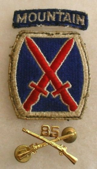 Great Wwii 85th Mountain Infantry Officer Lot; Orig Brass,  Patch & Tab