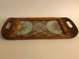 Vintage Deco Butterfly Wing Iridescent Art Serving Wood Tray Inlay Border Brazil