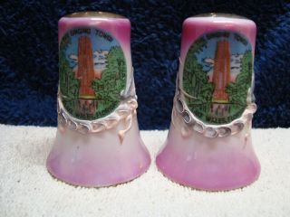Souvenir,  Lake Wales Fla.  Pink Dragonware Salt & Pepper Shaker Set.  Japan.