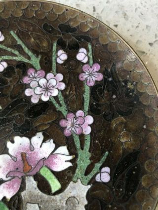 Fine Antique Chinese Cloisonne Enamel Floral Flower Scholar Art Plate Dish 2