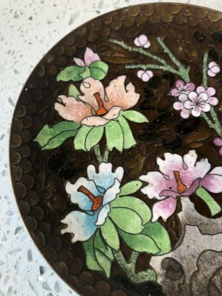 Fine Antique Chinese Cloisonne Enamel Floral Flower Scholar Art Plate Dish 4