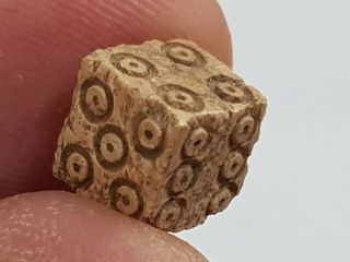 Fantastic Ancient Extremely Rare Roman Dice Quality.  0.  5 Gr.  8,  5x9 Mm