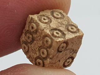 FANTASTIC ANCIENT EXTREMELY RARE ROMAN DICE QUALITY.  0.  5 GR.  8,  5X9 MM 2