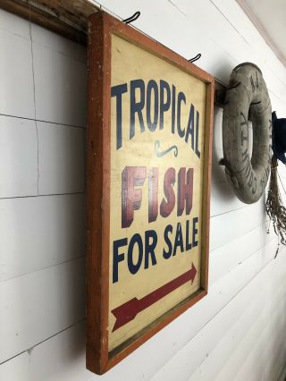 Rare Antique 1940s ORIG 2 Sided TROPICAL FISH Trade Sign Painted AAFA Folk Art 11
