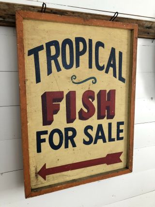 Rare Antique 1940s Orig 2 Sided Tropical Fish Trade Sign Painted Aafa Folk Art