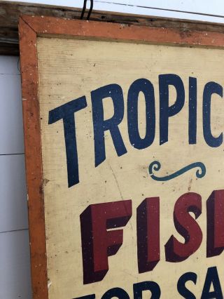 Rare Antique 1940s ORIG 2 Sided TROPICAL FISH Trade Sign Painted AAFA Folk Art 2