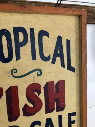 Rare Antique 1940s ORIG 2 Sided TROPICAL FISH Trade Sign Painted AAFA Folk Art 3