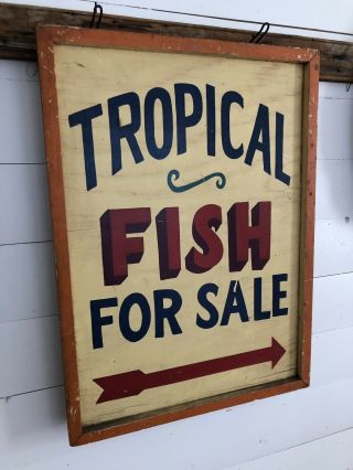 Rare Antique 1940s ORIG 2 Sided TROPICAL FISH Trade Sign Painted AAFA Folk Art 7