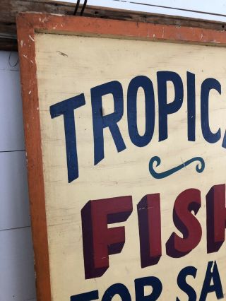 Rare Antique 1940s ORIG 2 Sided TROPICAL FISH Trade Sign Painted AAFA Folk Art 8