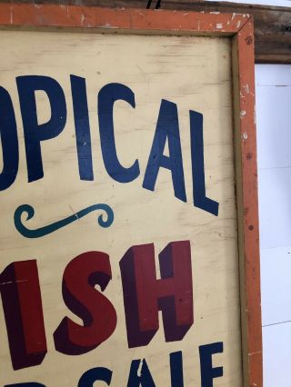 Rare Antique 1940s ORIG 2 Sided TROPICAL FISH Trade Sign Painted AAFA Folk Art 9