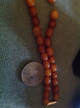 ANTIQUE BUTTERSCOTCH EGG YOLK AMBER BEADS NECKLACE 20 grams 10