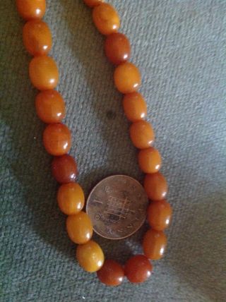 ANTIQUE BUTTERSCOTCH EGG YOLK AMBER BEADS NECKLACE 20 grams 9