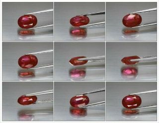 CERTIFICATE Inc.  Big Rare 5.  04ct 11.  7x8mm Oval Natural Unheated Red Ruby 3