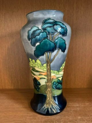 Moorcroft Vase After The Storm Signed Walter Moorcroft V Rare