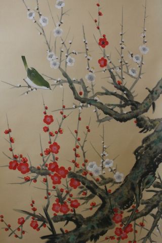 T03x1 梅 Red & White Ume Plum Tree With Bush Warbler Japanese Hanging Scroll