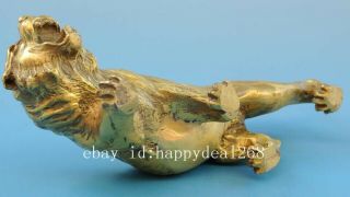 Chinese old fengshui copper hand - carved Chinese zodiac tiger statue f01 7