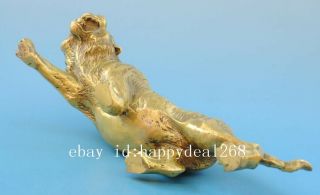 Chinese old fengshui copper hand - carved Chinese zodiac tiger statue f01 8