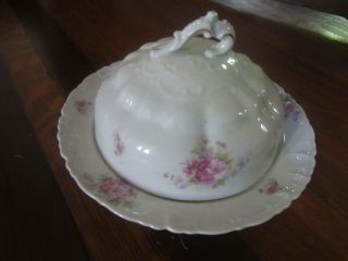 Antique Porcelain Round Covered Butter Dish With Strainer M.  L.  Austria