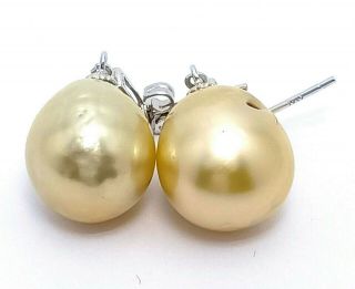 Stunning Pale Gold Australian South Sea 13 x 15mm Baroque Pearl Vintage Earrings 5