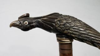 ANTIQUE VINTAGE CARVED BUFFALO HORN PHEASANT PHOENIX BIRD CANE 4