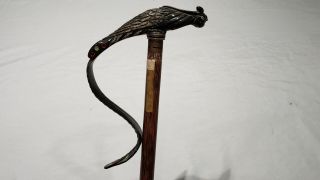 ANTIQUE VINTAGE CARVED BUFFALO HORN PHEASANT PHOENIX BIRD CANE 6