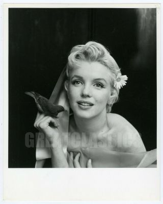 Marilyn Monroe By Cecil Beaton 1956 Breathtaking Vintage Photograph