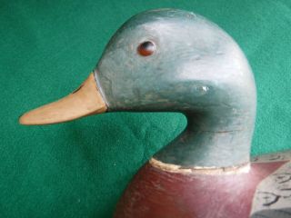 Charles Perdew Henry IL Hollow Body Mallard Duck Decoy Paint 7