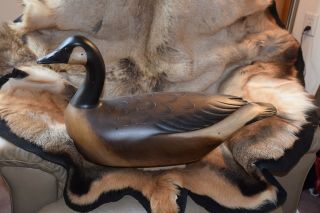 Rare Michigan Carver Darkfeather Freedman Hollo Carved Canadian Goose Decoy