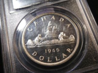 Y16 Canada 1946 Silver Dollar PCGS SPECIMEN - 64 RARE As SPECIMEN Trends At $3190 2