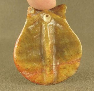 With Carved Chinese Hongshan Jade Turtle Shell Pendant