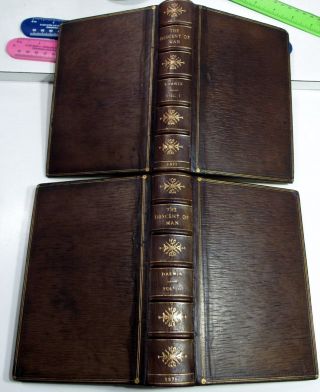 Charles Darwin The Descent Of Man/rare 1st Ed.  /1871/ 2 Volumes Fine Leather Bind