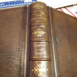 CHARLES DARWIN THE DESCENT OF MAN/RARE 1st Ed.  /1871/ 2 VOLUMES FINE LEATHER BIND 8