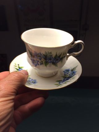 Tea Cup With Saucer Blue Flowers Queen Anne Vintage Bone China Gold Trim