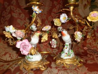 Vintage Meissen Porcelain Bird Figurine Applied Flowers Ormolu Boudoir Lamp Set
