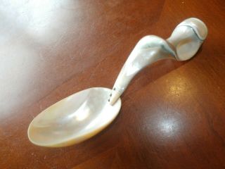 Vintage Antique Carved Abalone Mop Mother Of Pearl Conch Shell Large Spoon Ladle