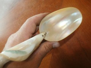 Vintage Antique Carved Abalone MOP Mother Of Pearl Conch Shell Large Spoon Ladle 5