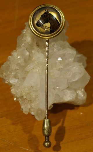 Antique Victorian 10k Gold Essex Rock Crystal Equestrian Horse Head Stick Pin