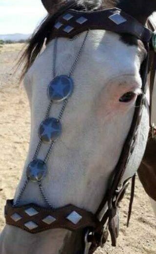 Vtg Parade Leather Horse Bridle Rosettes Headstall Breast Collar Silver Diamonds