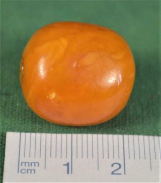 Good Large Antique Egg Yoke Butterscotch Amber Bead (h6)