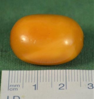 Good Large Antique Egg Yoke Butterscotch Amber Bead (h4)