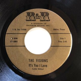 THE VISIONS - W / RARE PICTURE SLEEVE - IT ' S YOU I LOVE - R&R LABEL 3
