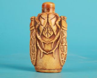 Rare Cattle Bone Hand - Carved Cicada Statue Snuff Bottle Old Antique Collec