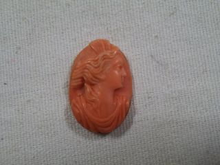 Antique Victorian Carved High Relief Salmon Coral Cameo - 15/16 " Loose Part