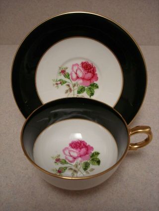 Black White Pink Rose Windsor England Cup & Saucer Bone China