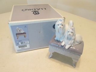 Vintage Adorable Lladro 6688 Dogs Looking Pretty W Box & Papers