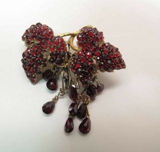 Drippy Antique Victorian Rose & Pear Cut Bohemian Garnet Fringed Brooch / Pin 5